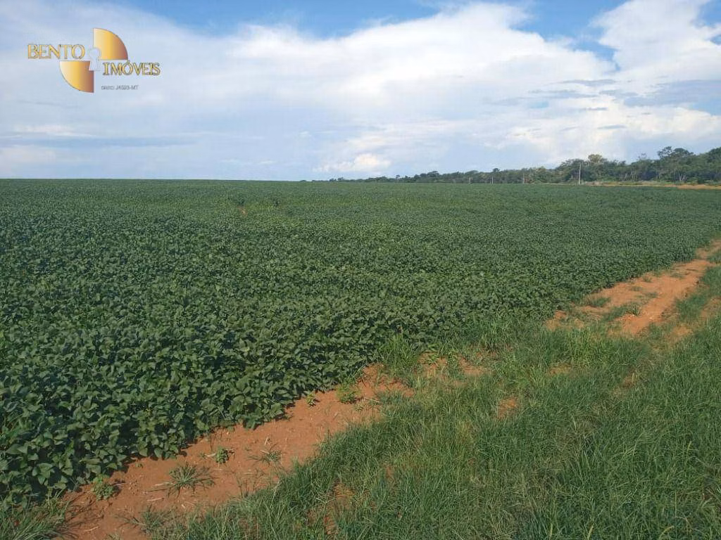 Fazenda de 1.486 ha em Nova Mutum, MT