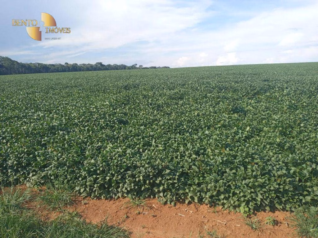 Fazenda de 1.486 ha em Nova Mutum, MT