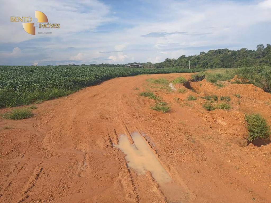 Fazenda de 1.486 ha em Nova Mutum, MT
