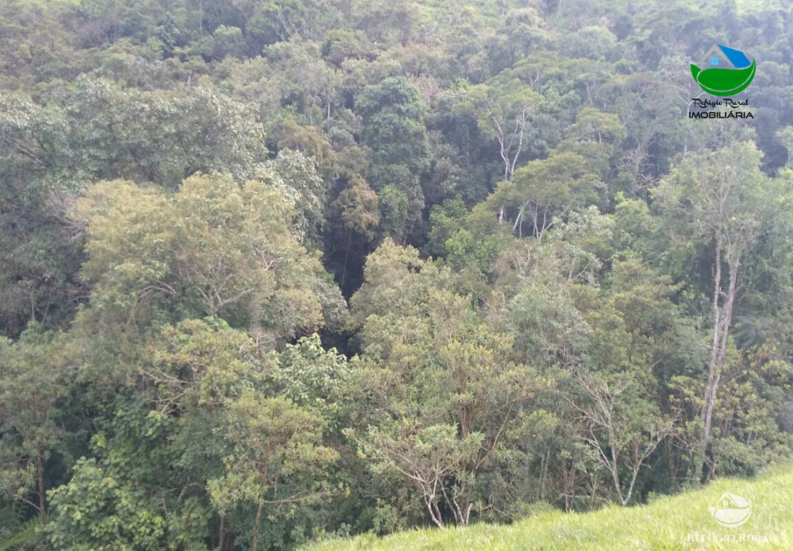 Small farm of 67 acres in São José dos Campos, SP, Brazil