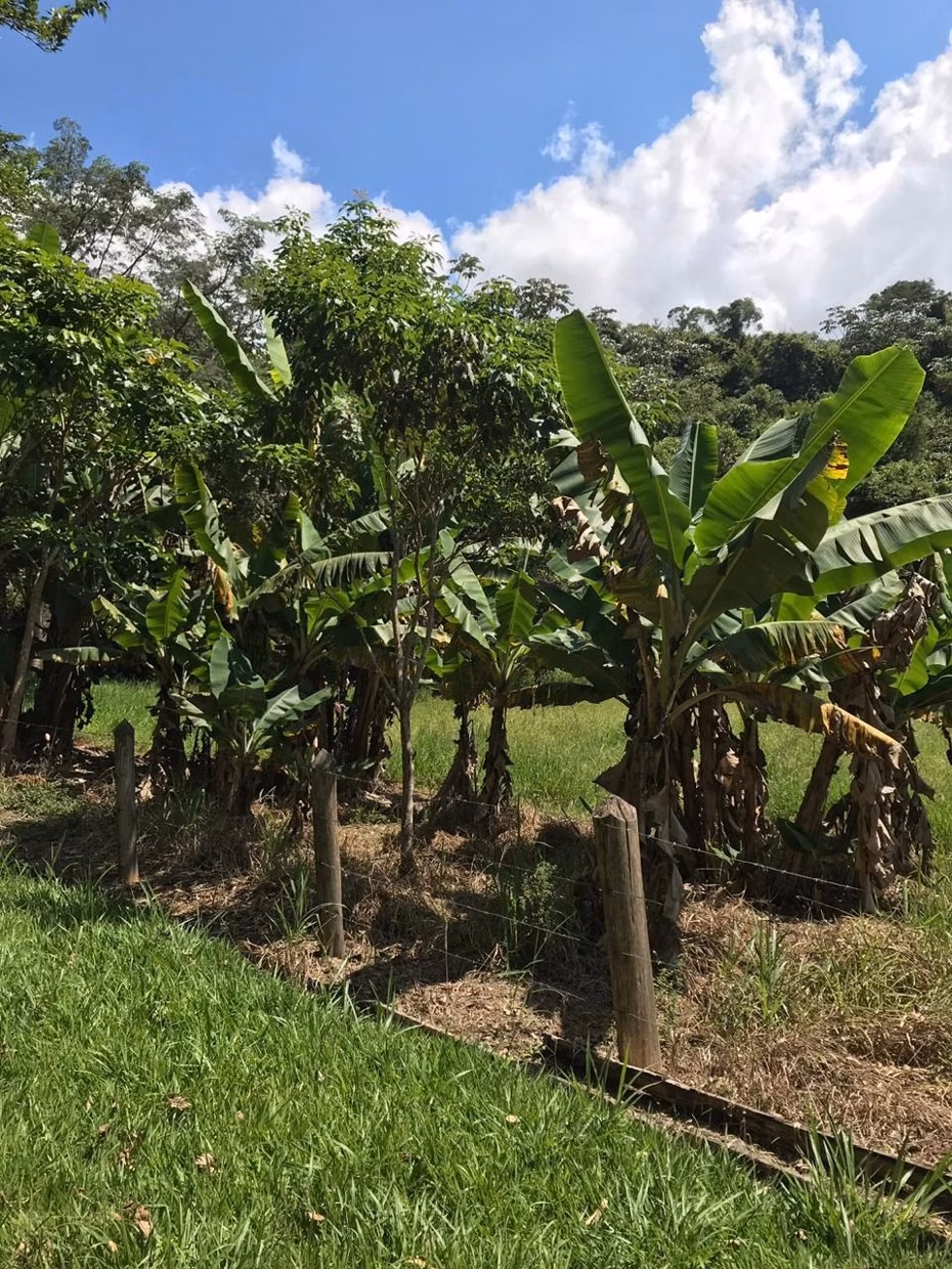 Sítio de 34 ha em Redenção da Serra, SP