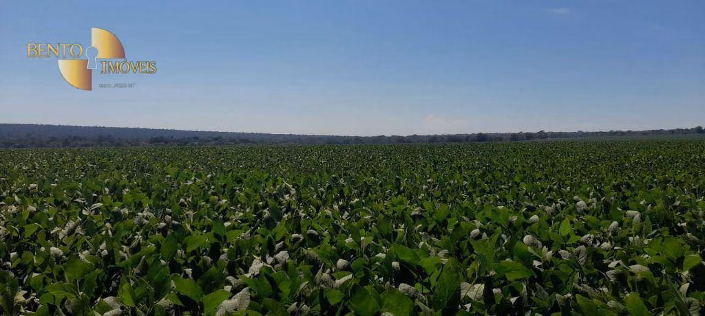 Fazenda de 1.400 ha em Primavera do Leste, MT