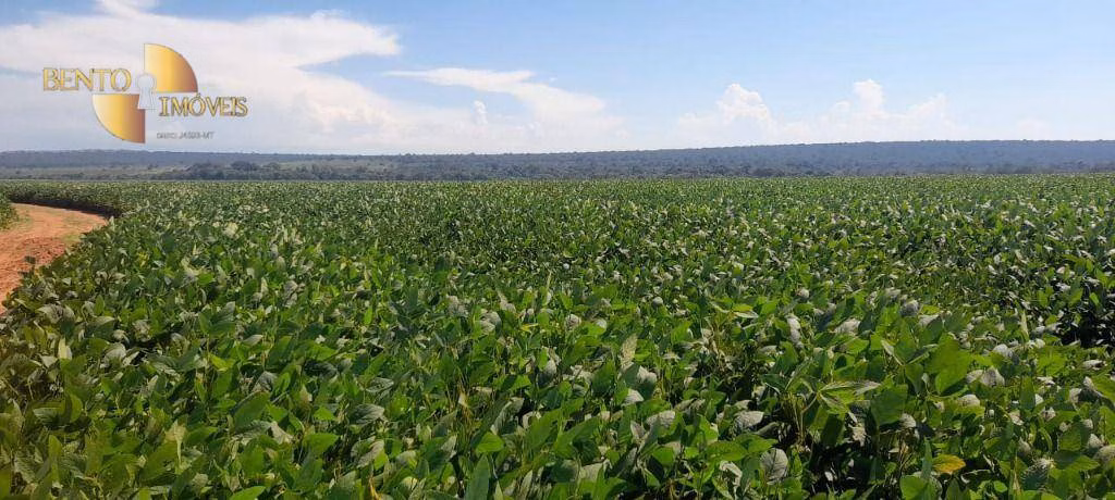 Fazenda de 1.400 ha em Primavera do Leste, MT