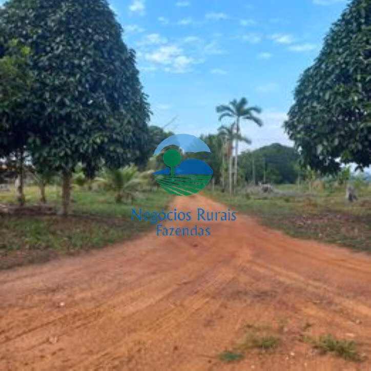Sítio de 58 ha em Porto Velho, RO