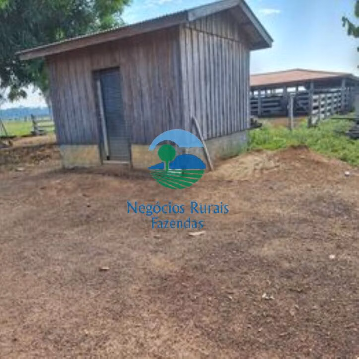 Sítio de 58 ha em Porto Velho, RO