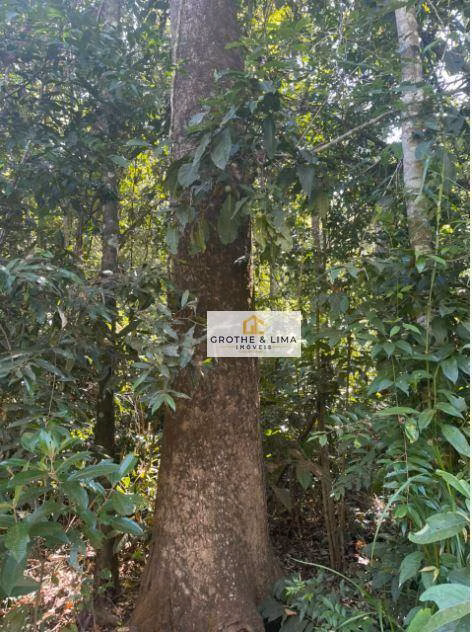 Farm of 1.399 acres in Recursolândia, TO, Brazil