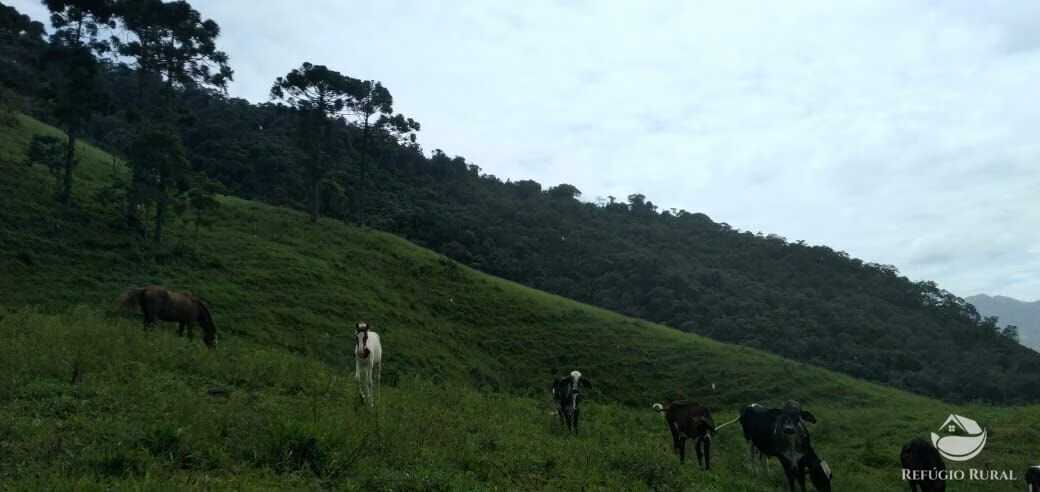Plot of 17 acres in São José dos Campos, SP, Brazil