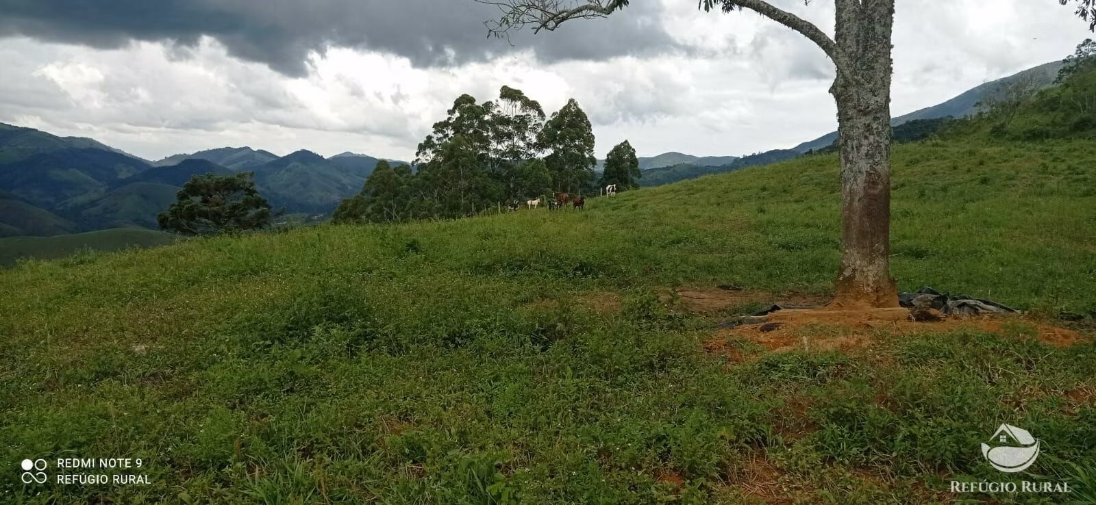 Plot of 17 acres in São José dos Campos, SP, Brazil