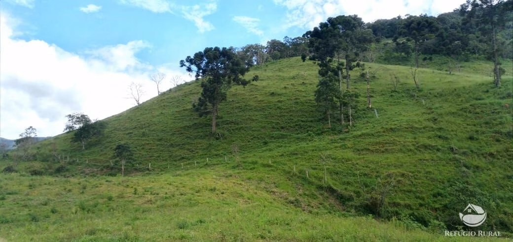 Plot of 17 acres in São José dos Campos, SP, Brazil