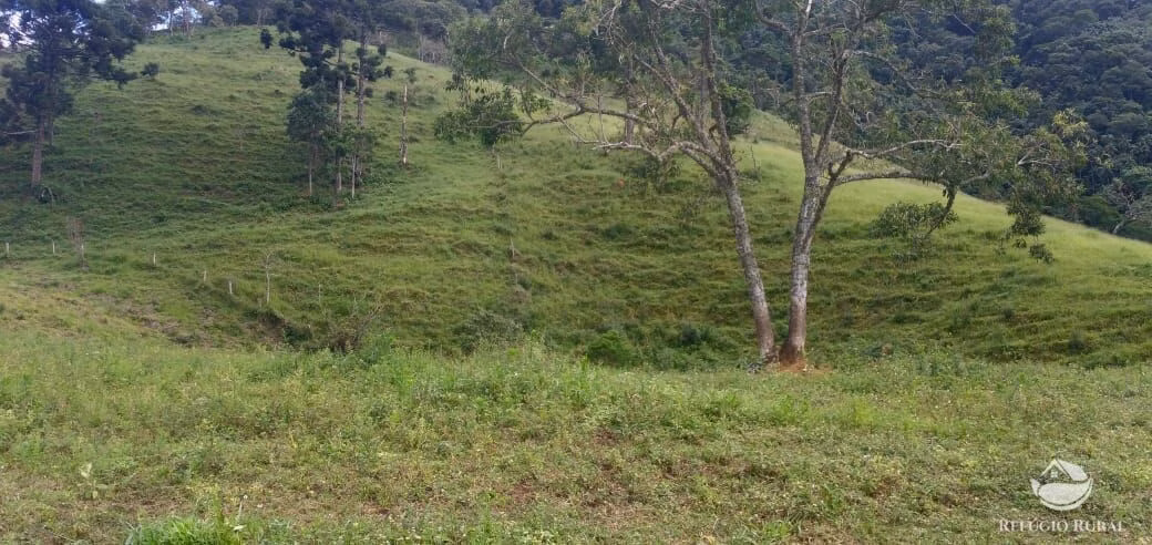 Plot of 17 acres in São José dos Campos, SP, Brazil