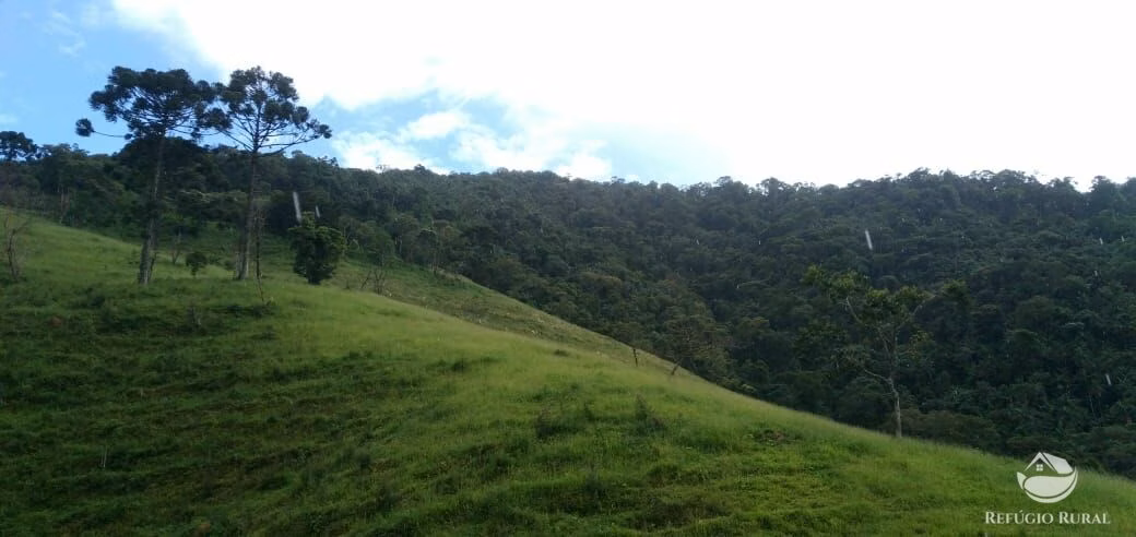 Plot of 17 acres in São José dos Campos, SP, Brazil