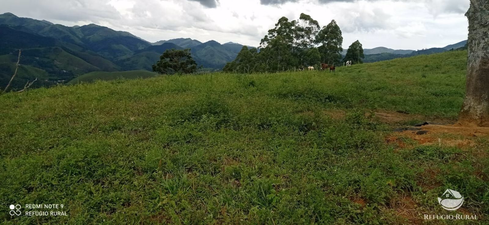 Plot of 17 acres in São José dos Campos, SP, Brazil