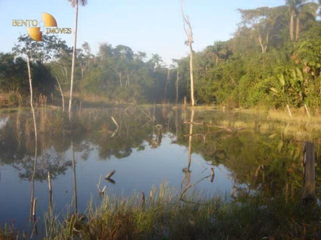 Fazenda de 6.515 ha em Sinop, MT