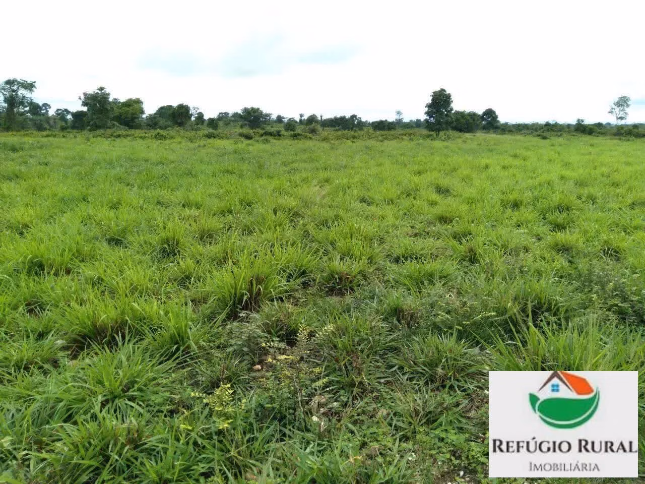 Farm of 5.429 acres in Juarina, TO, Brazil