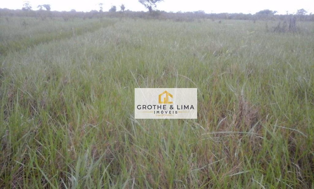 Farm of 38.230 acres in Araguacema, TO, Brazil