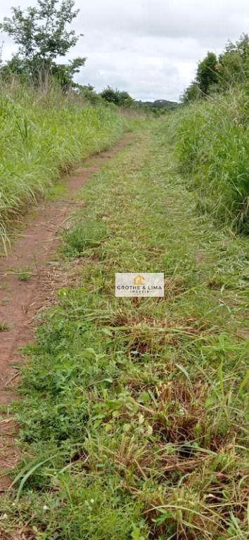 Farm of 38.230 acres in Araguacema, TO, Brazil