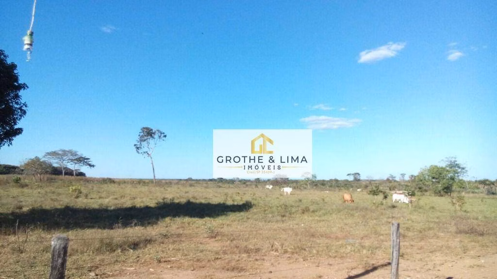 Farm of 38.230 acres in Araguacema, TO, Brazil
