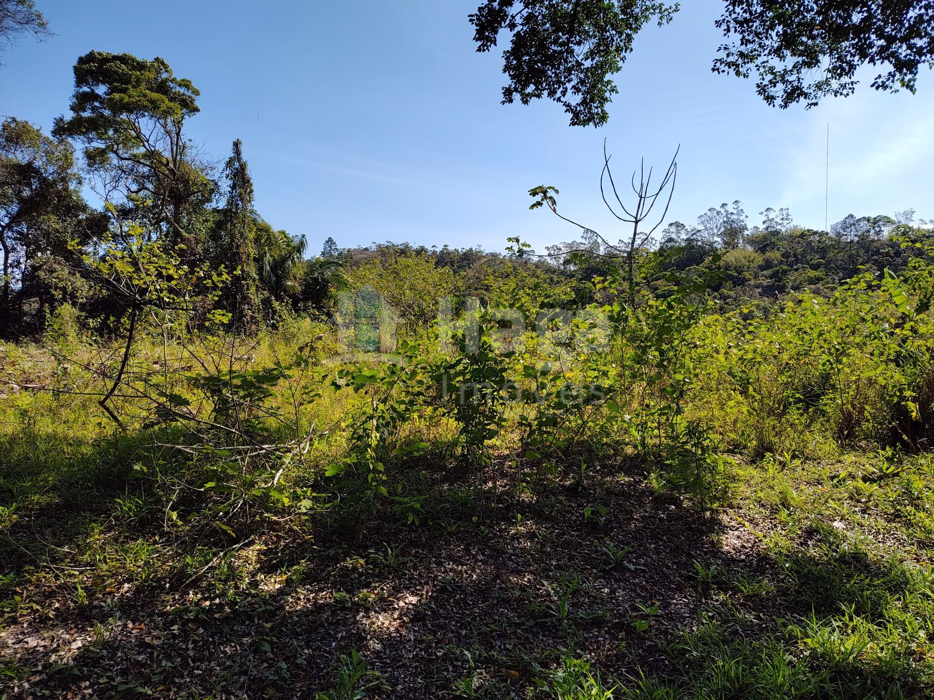Terreno de 1 ha em Brusque, SC