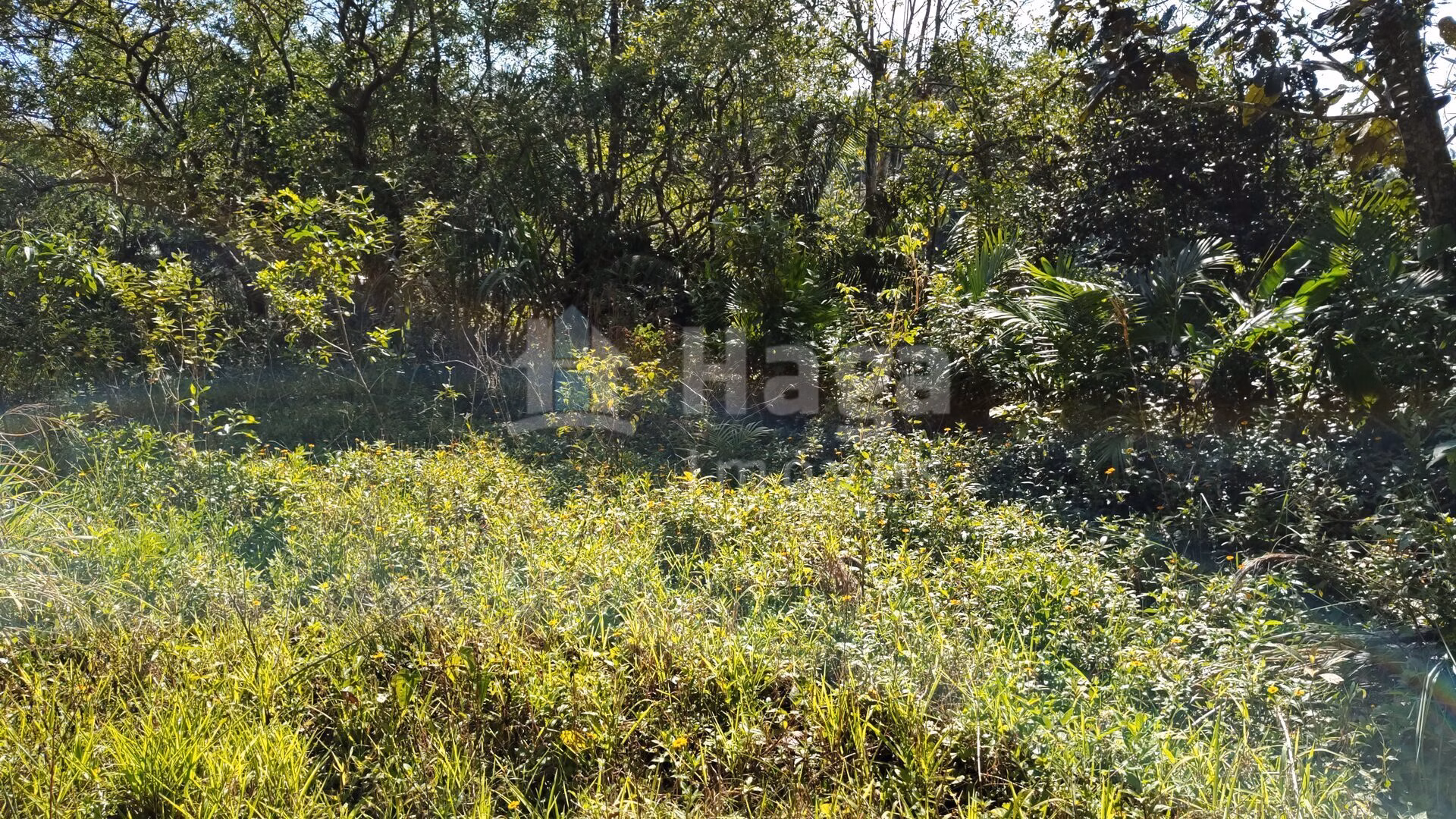 Terreno de 1 ha em Brusque, SC