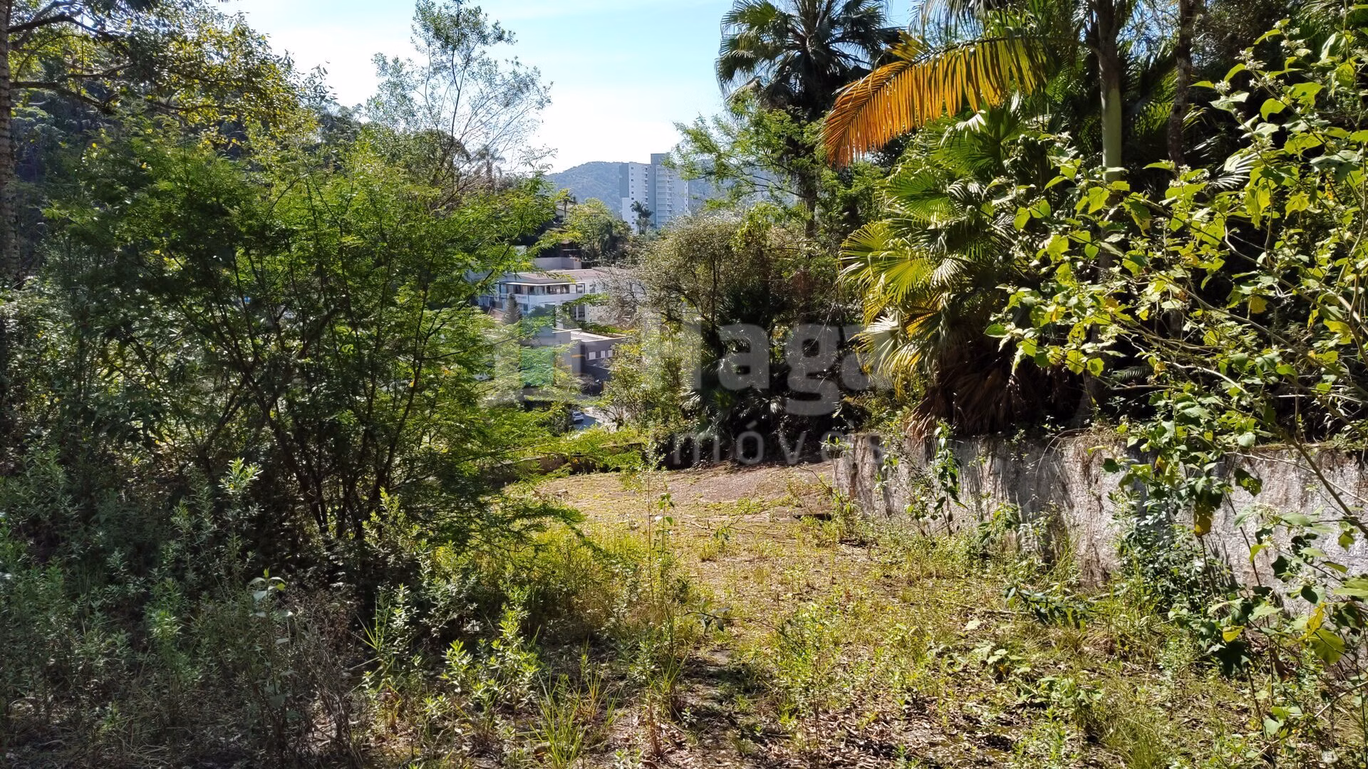 Terreno de 1 ha em Brusque, SC