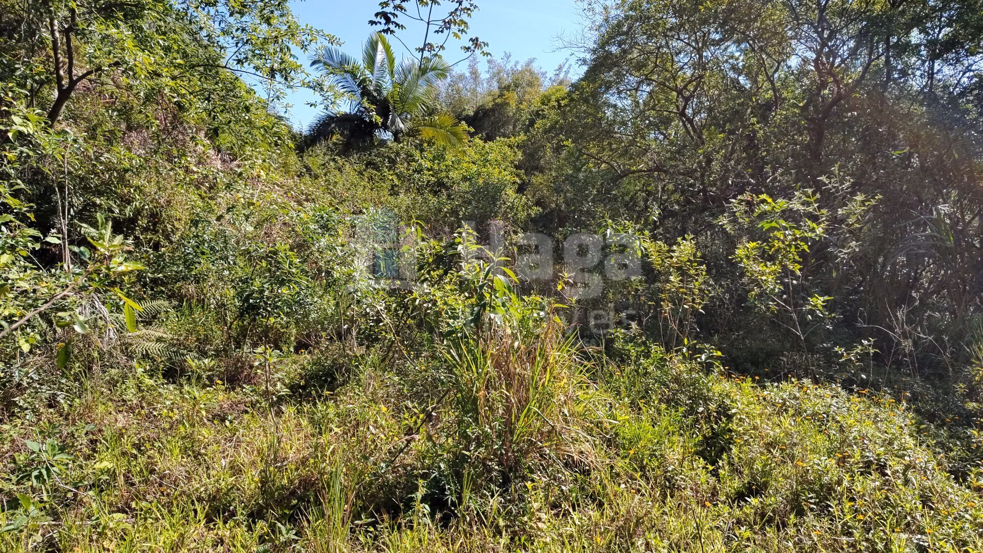 Terreno de 1 ha em Brusque, SC