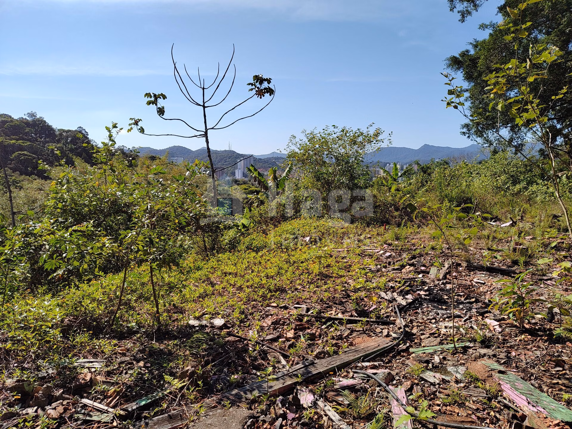 Terreno de 1 ha em Brusque, SC