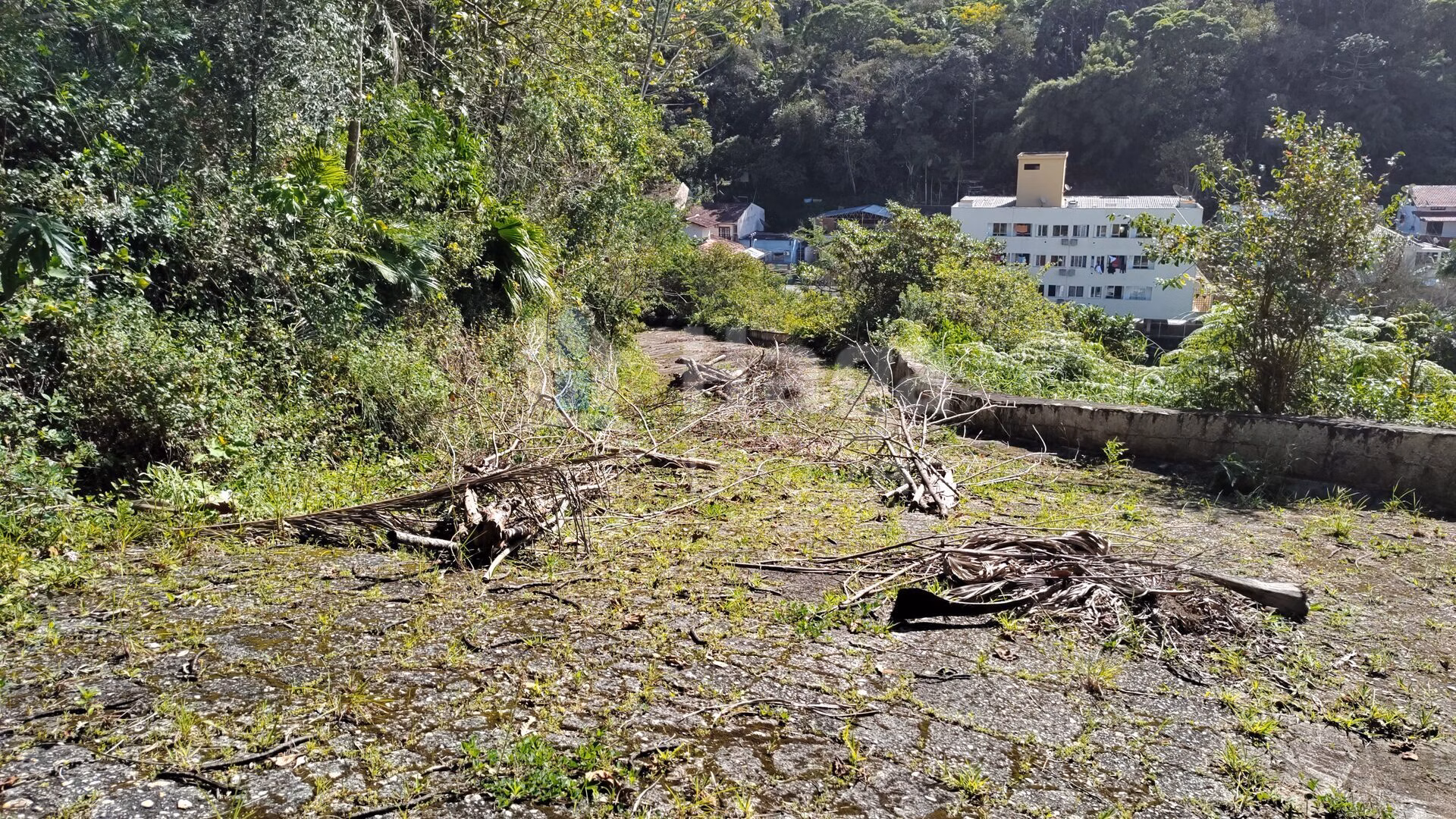 Terreno de 1 ha em Brusque, SC