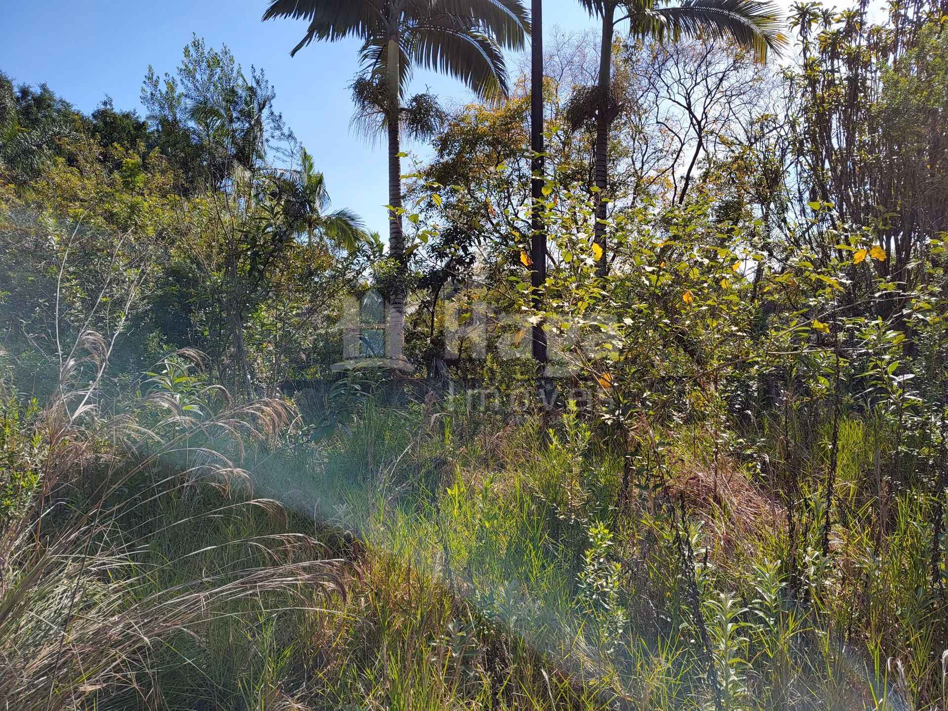 Terreno de 1 ha em Brusque, SC