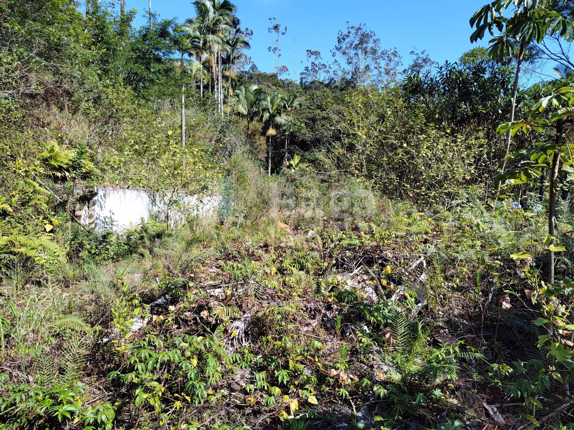Terreno de 1 ha em Brusque, SC
