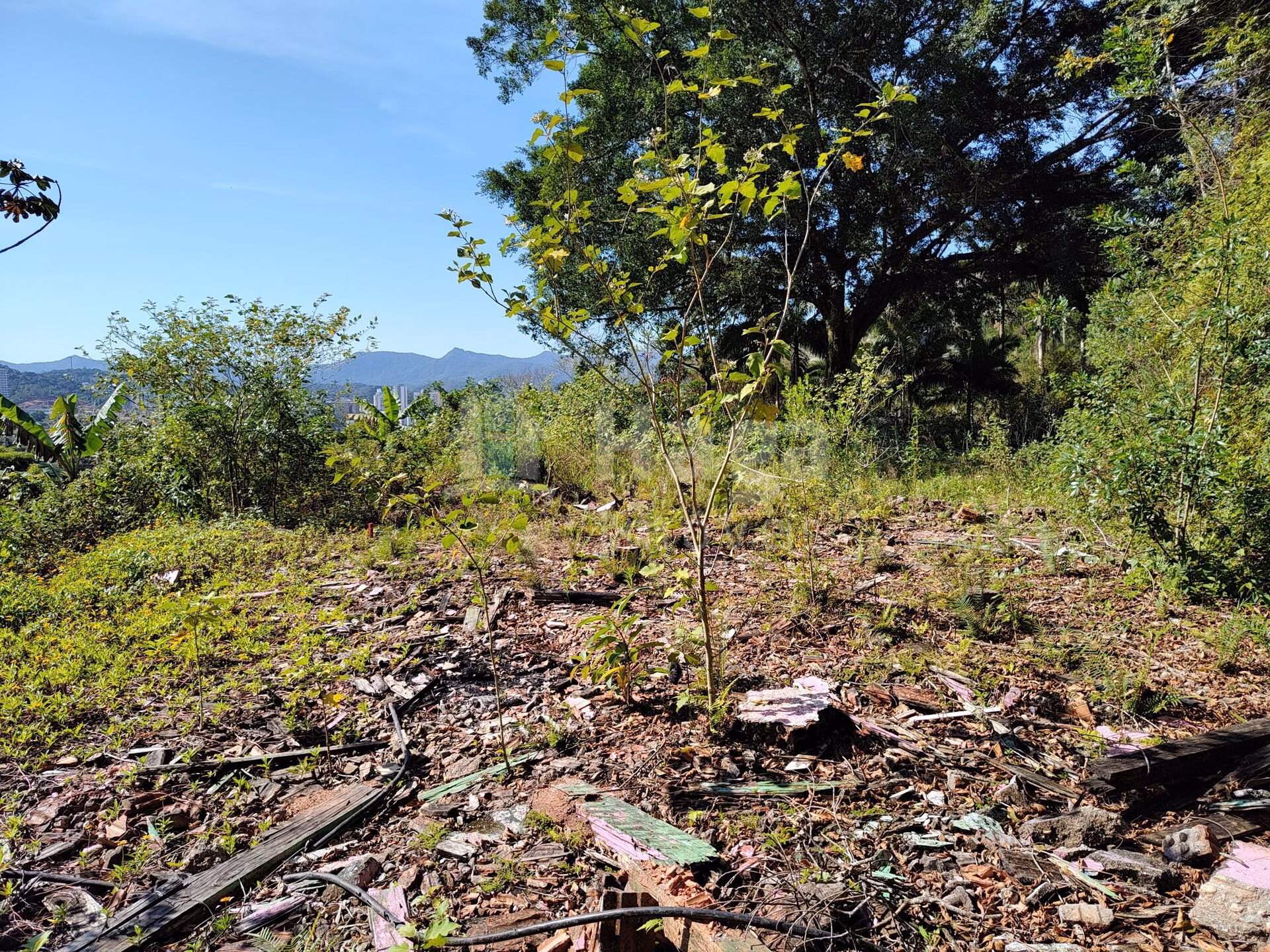 Terreno de 1 ha em Brusque, SC