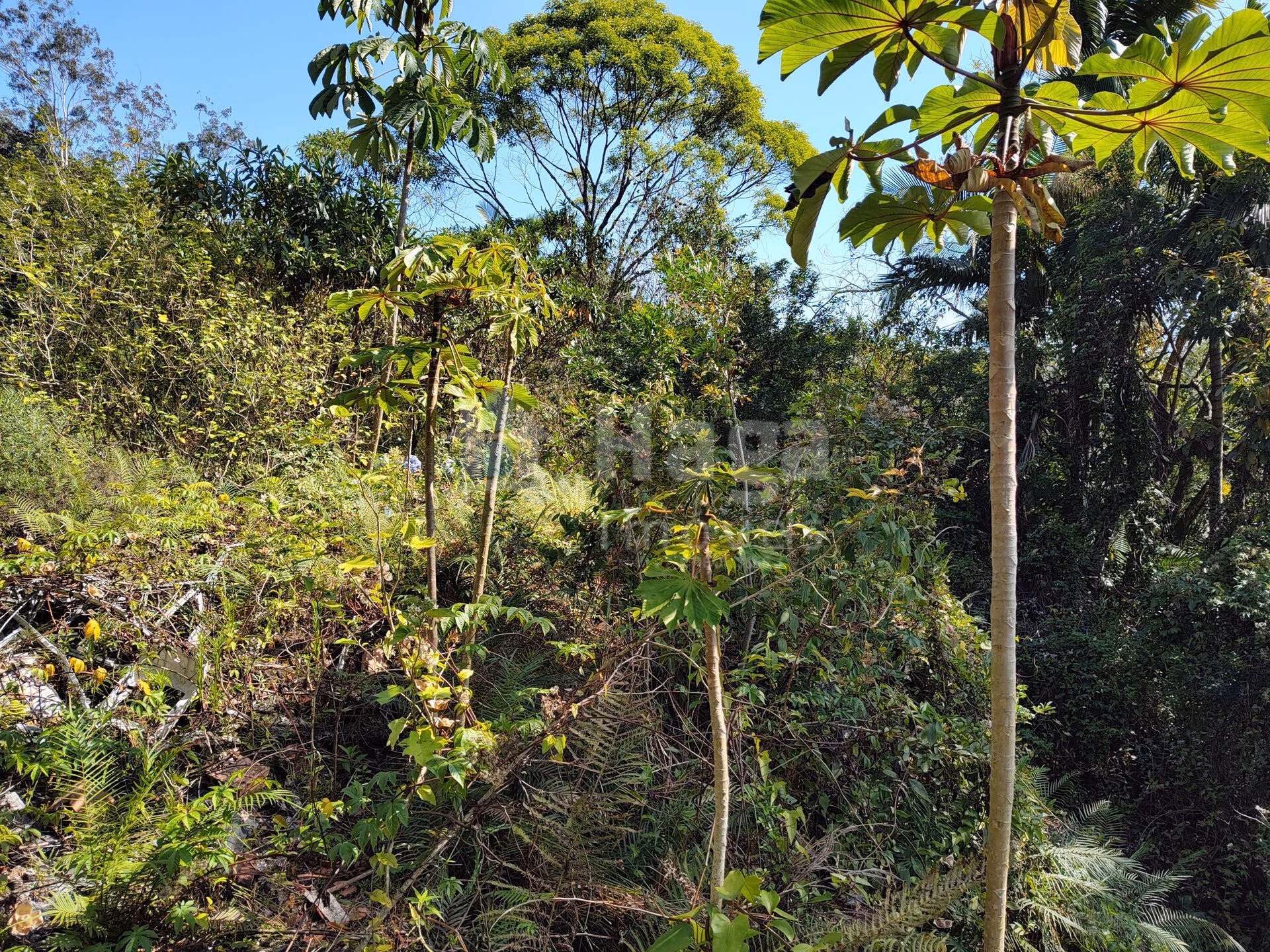 Terreno de 1 ha em Brusque, SC