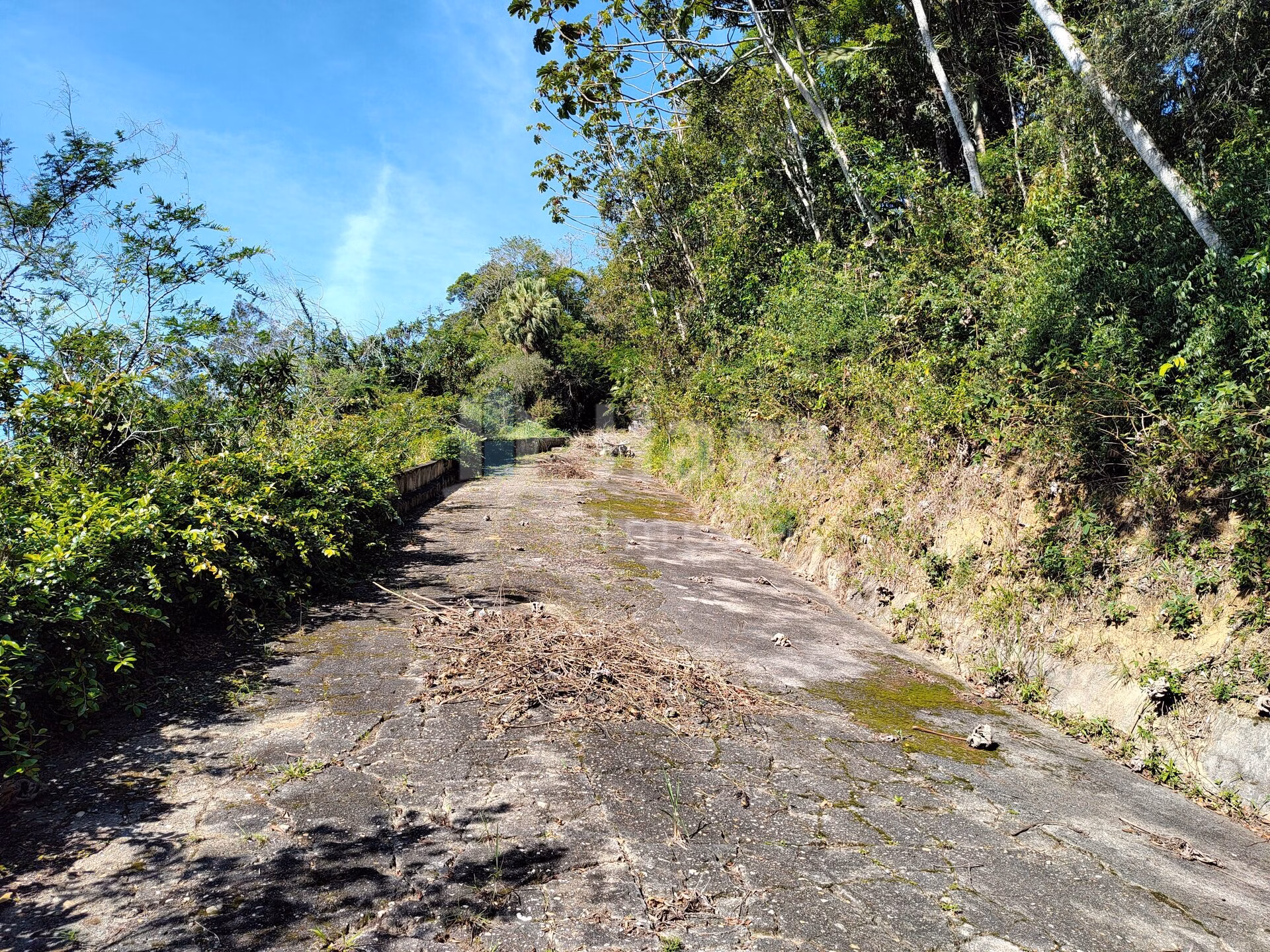 Terreno de 1 ha em Brusque, SC