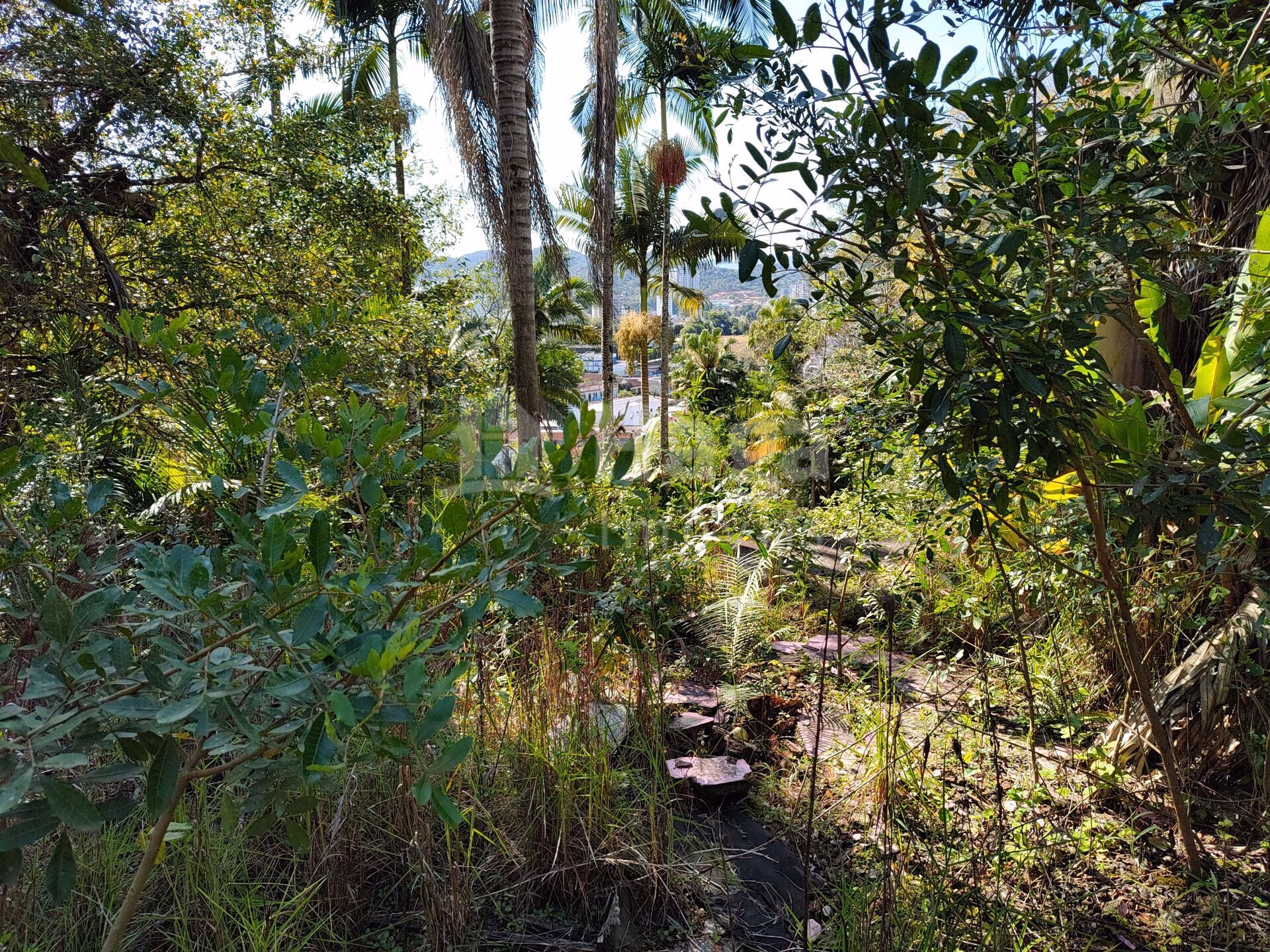 Terreno de 1 ha em Brusque, SC