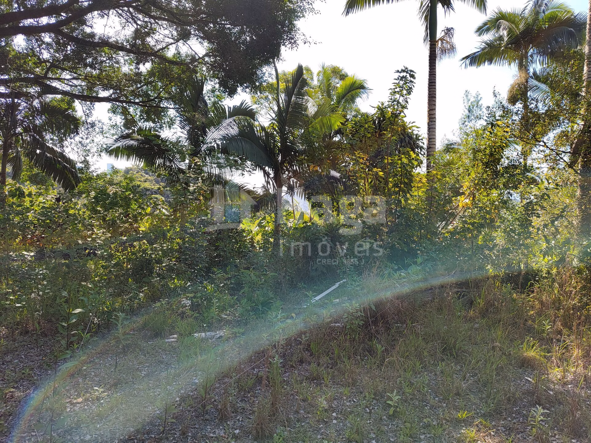 Terreno de 1 ha em Brusque, SC