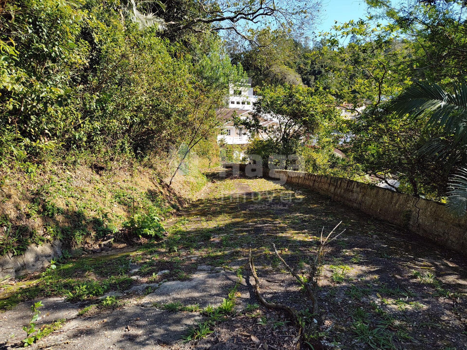Terreno de 1 ha em Brusque, SC