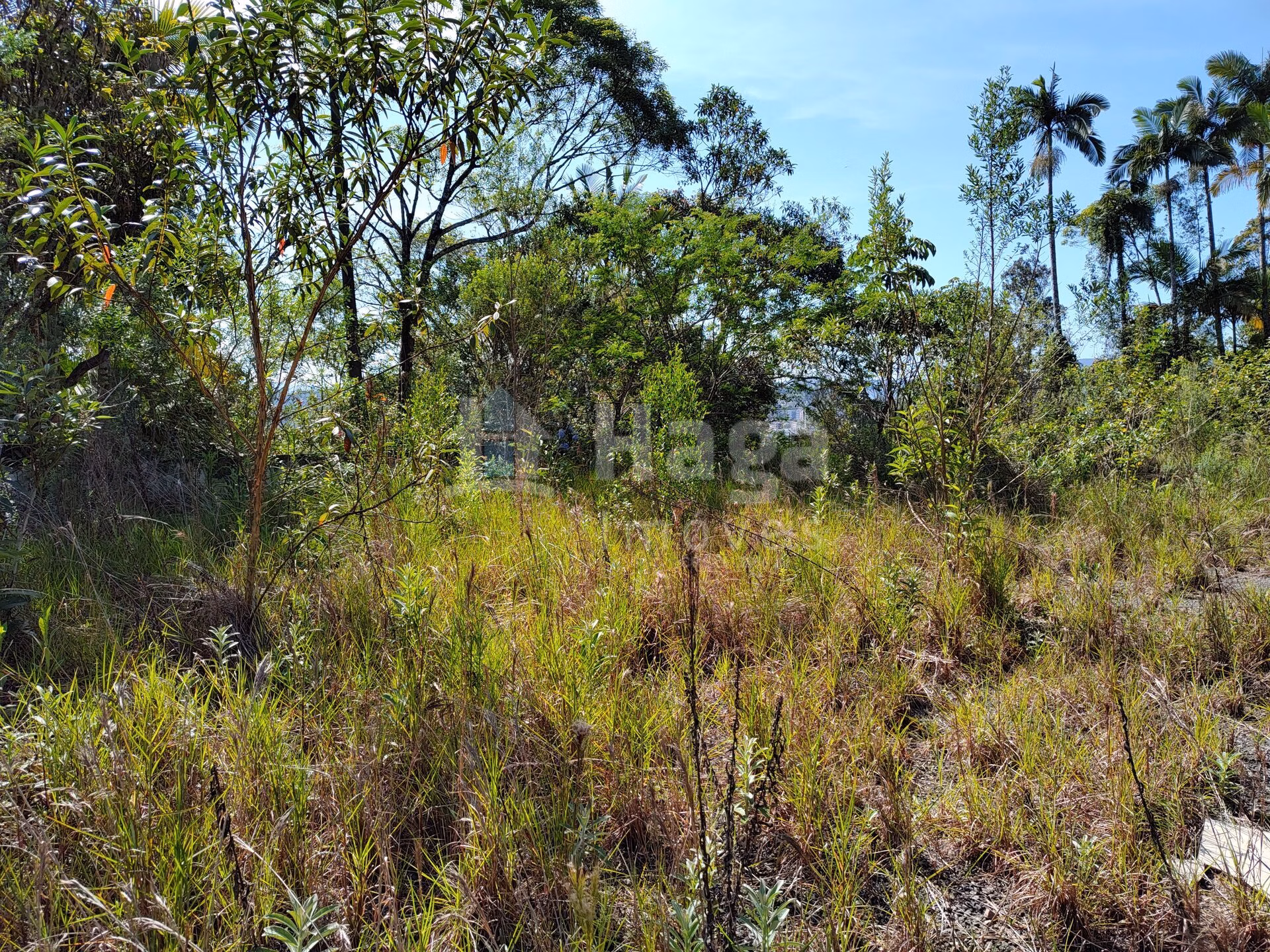 Terreno de 1 ha em Brusque, SC