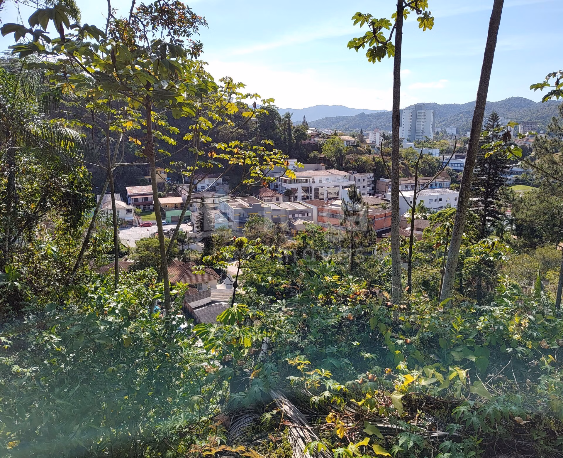 Terreno de 1 ha em Brusque, SC