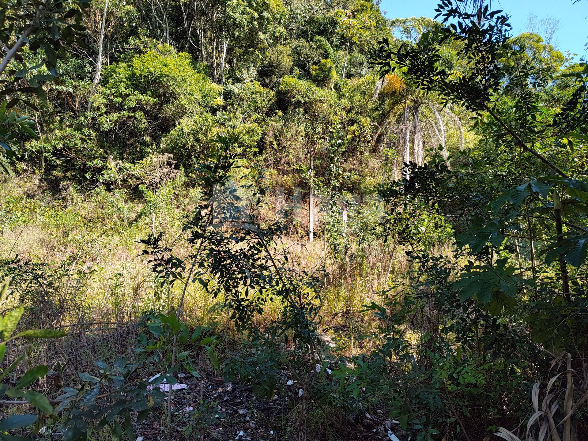 Terreno de 1 ha em Brusque, SC