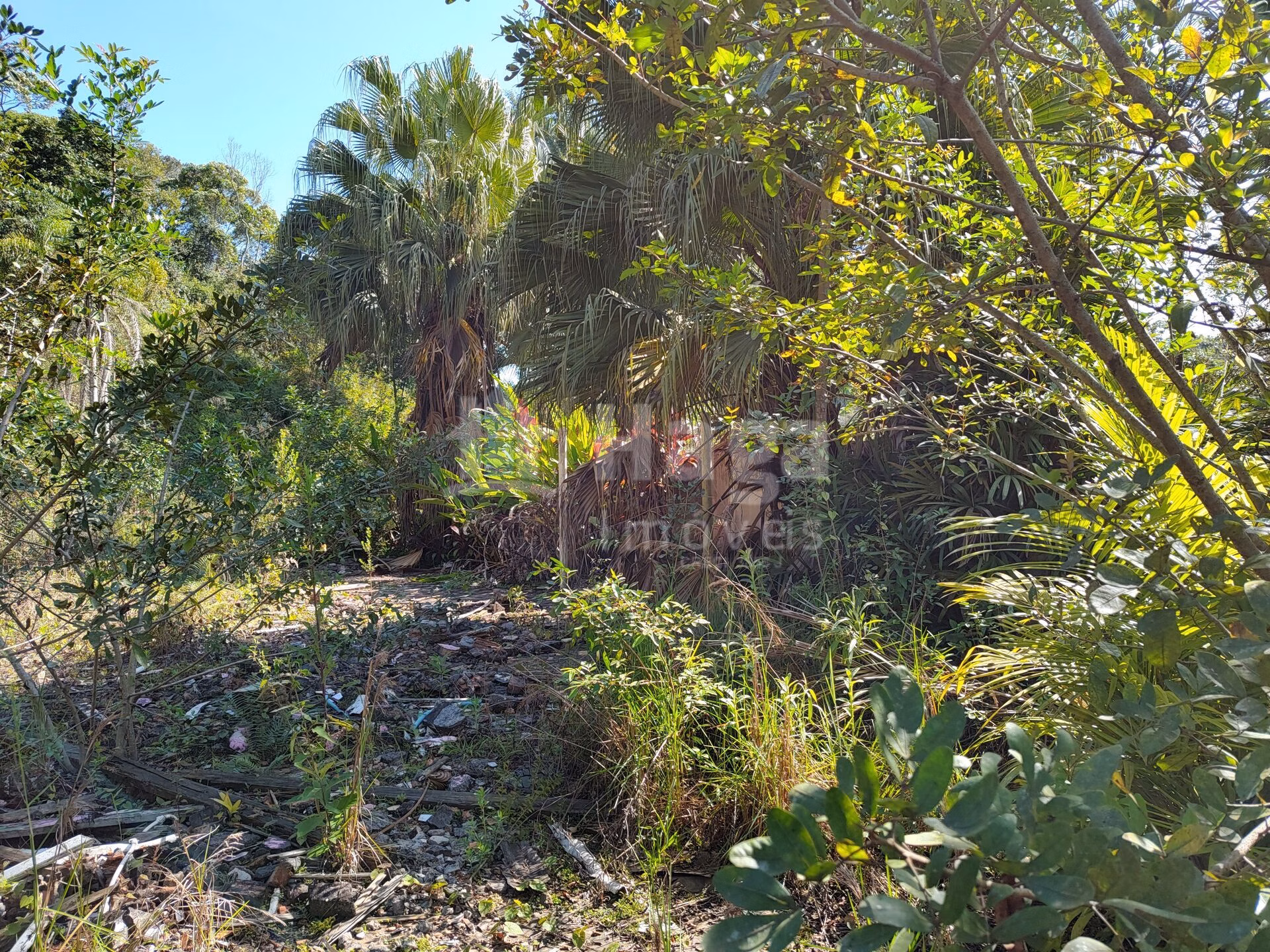Terreno de 1 ha em Brusque, SC