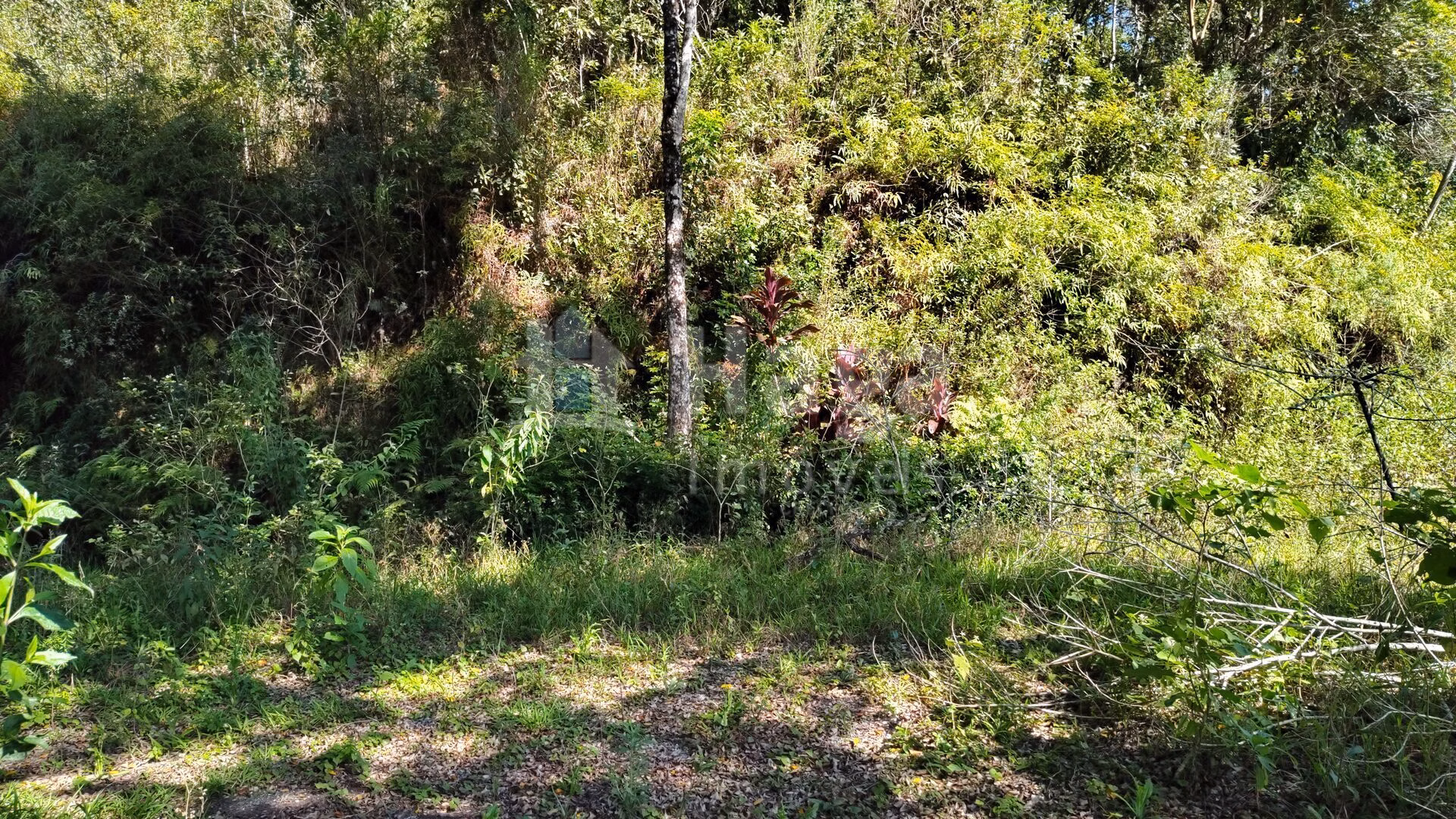 Terreno de 1 ha em Brusque, SC