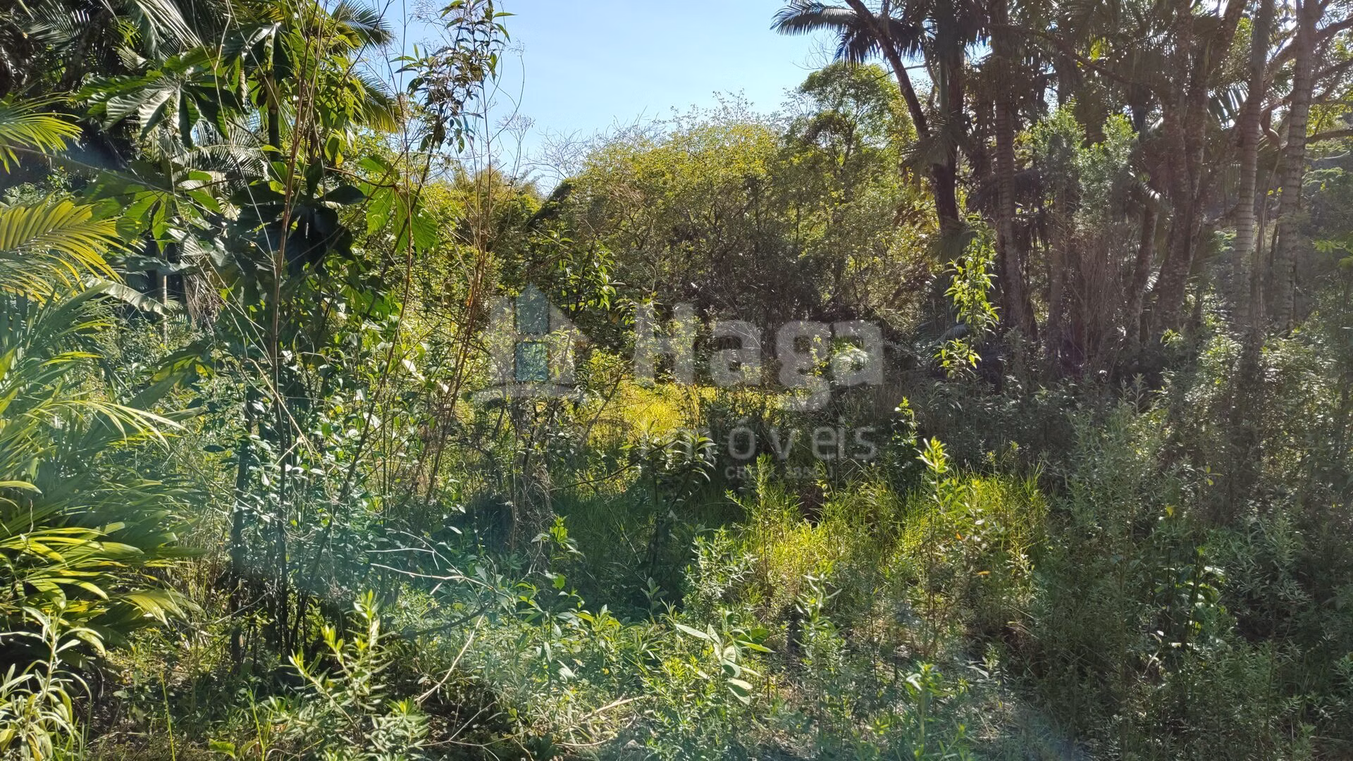 Terreno de 1 ha em Brusque, SC