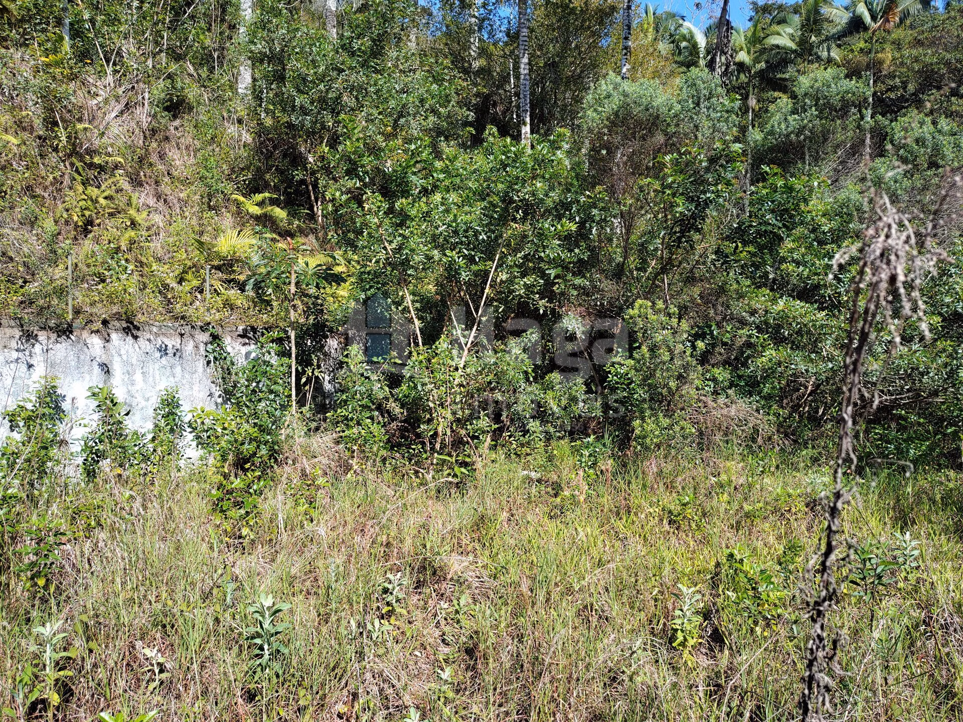 Terreno de 1 ha em Brusque, SC