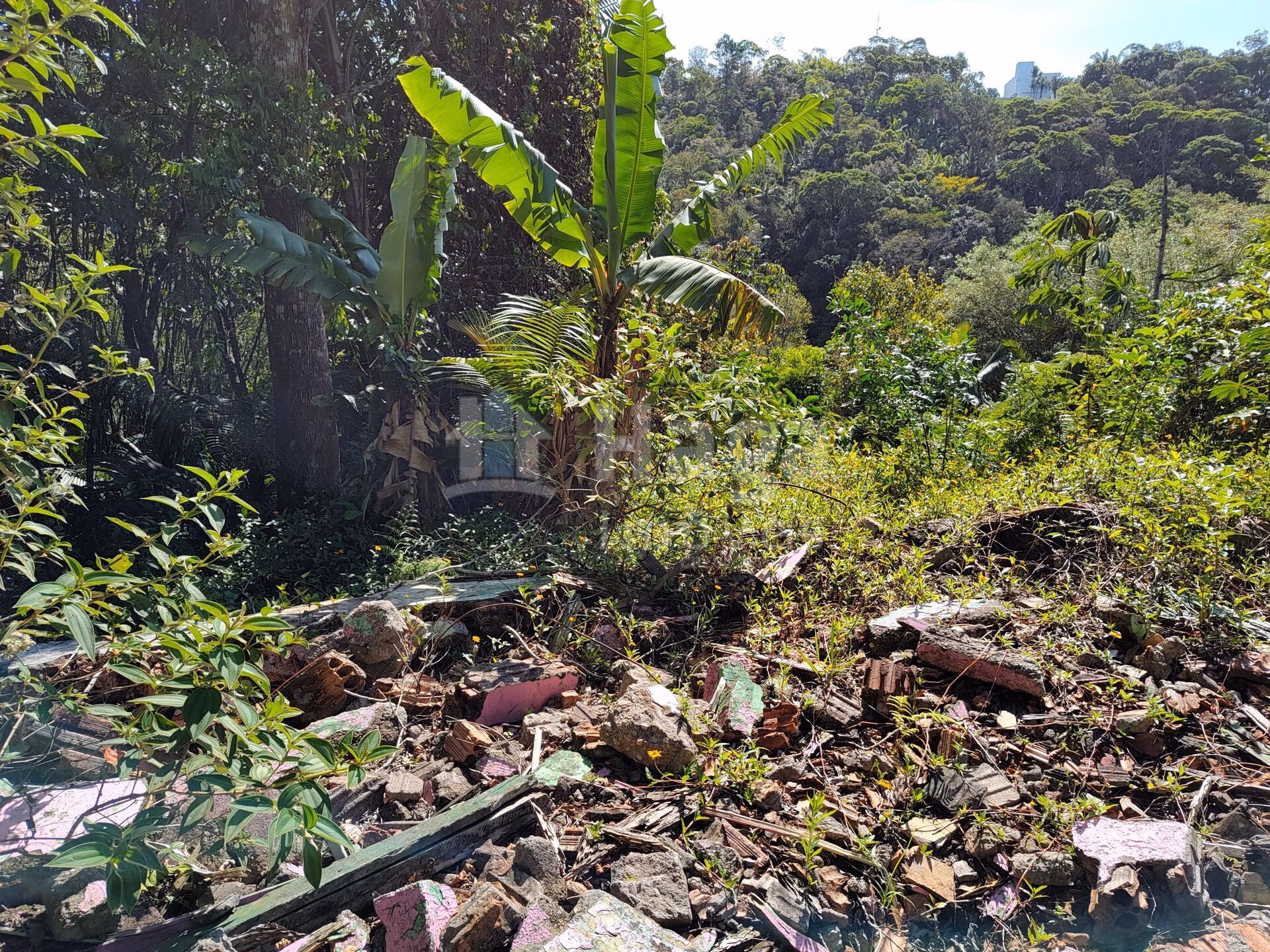 Terreno de 1 ha em Brusque, SC