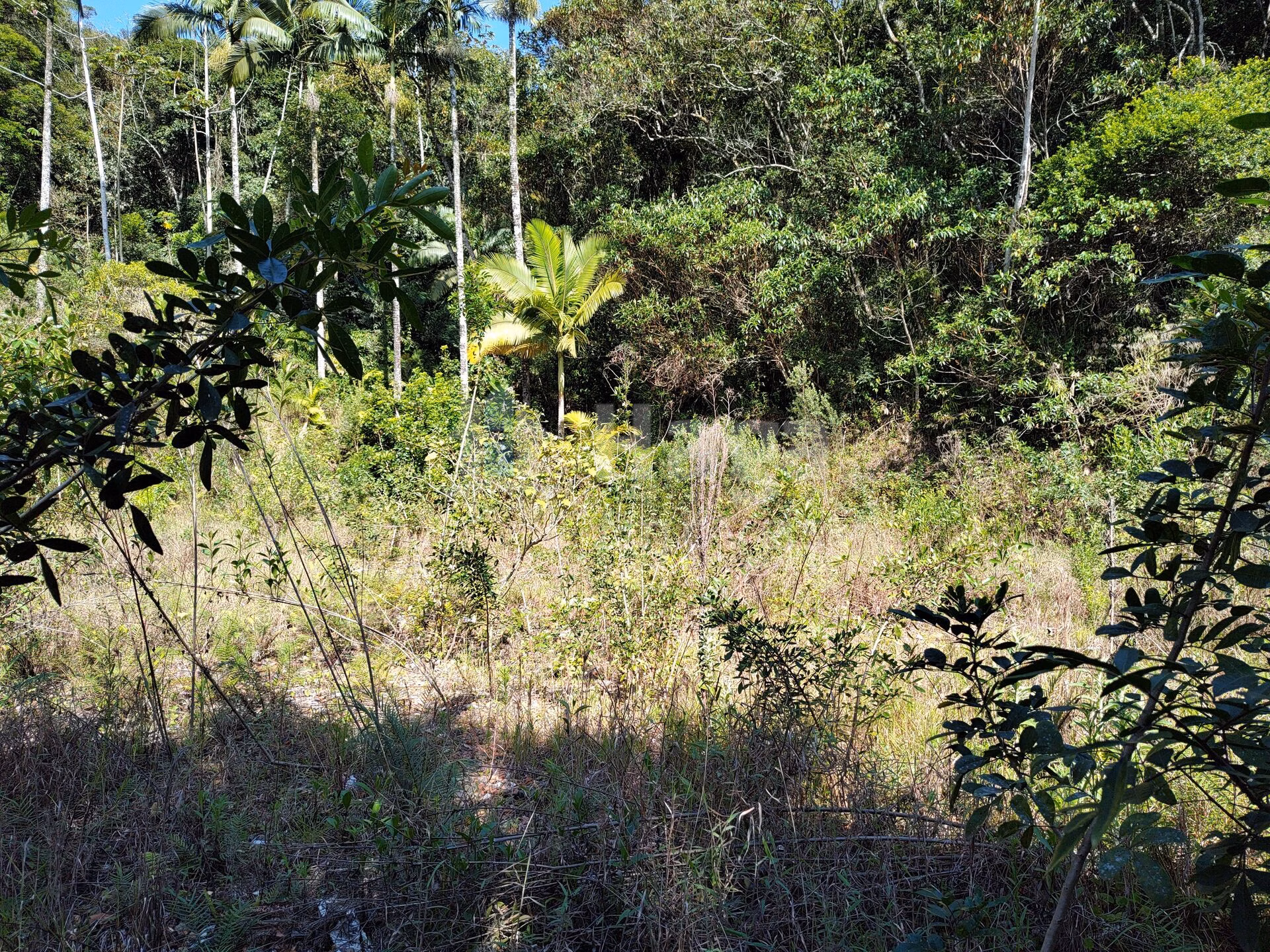 Terreno de 1 ha em Brusque, SC