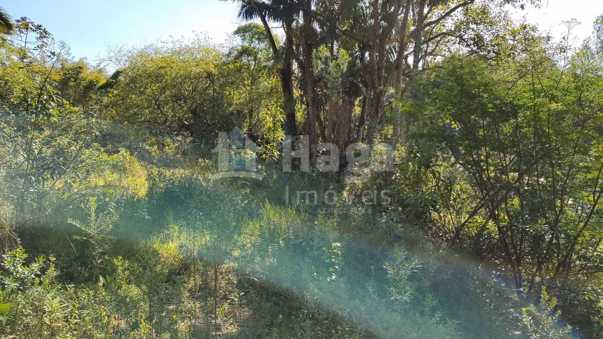 Terreno de 1 ha em Brusque, SC