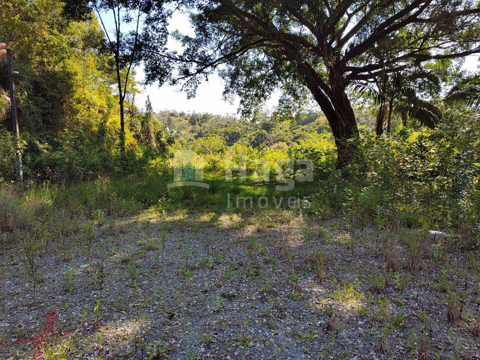 Terreno de 1 ha em Brusque, SC