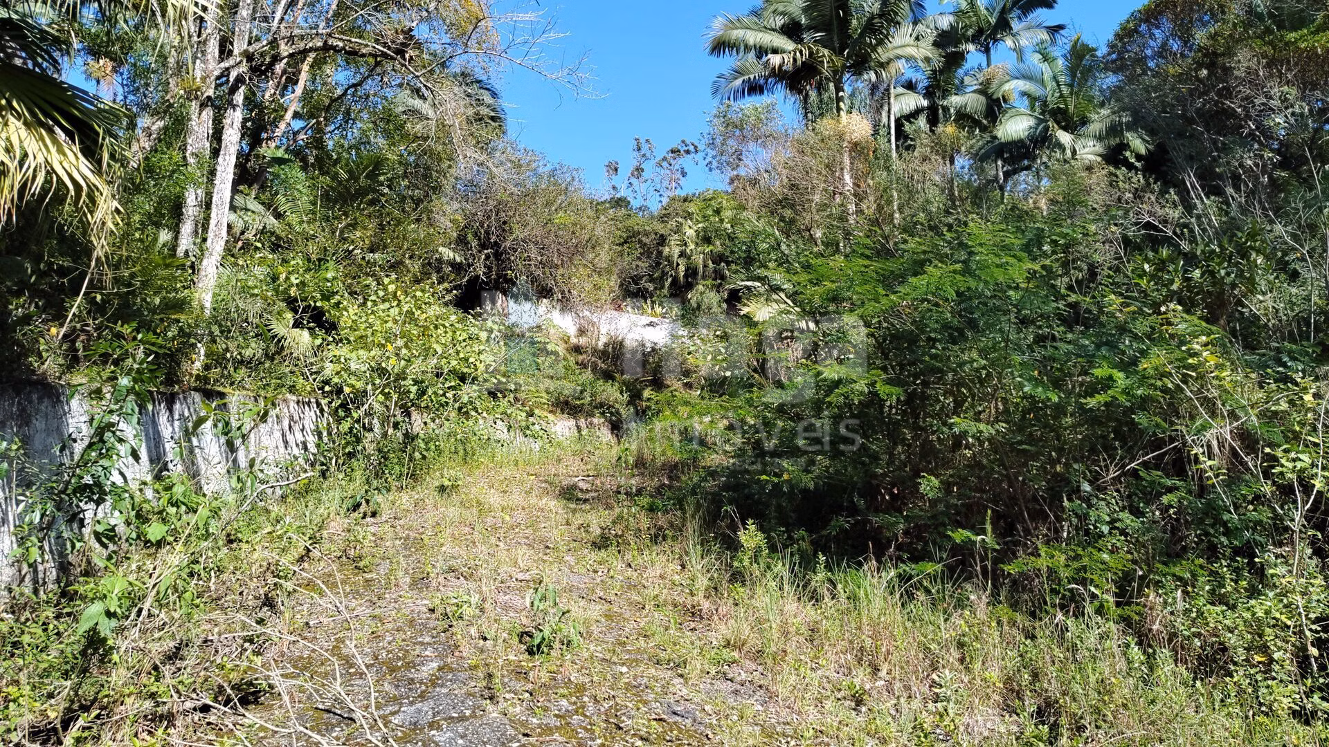 Terreno de 1 ha em Brusque, SC