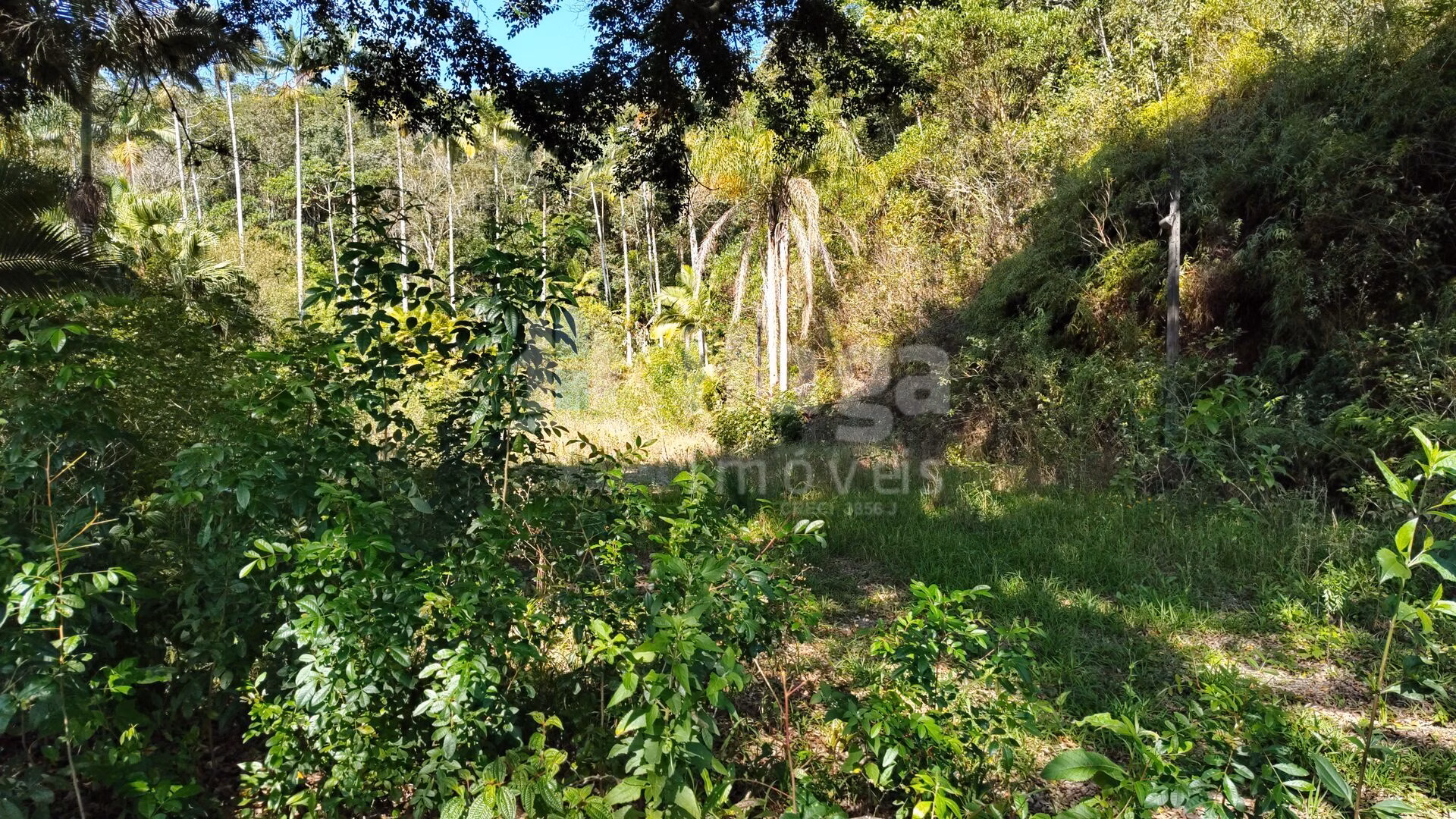 Terreno de 1 ha em Brusque, SC