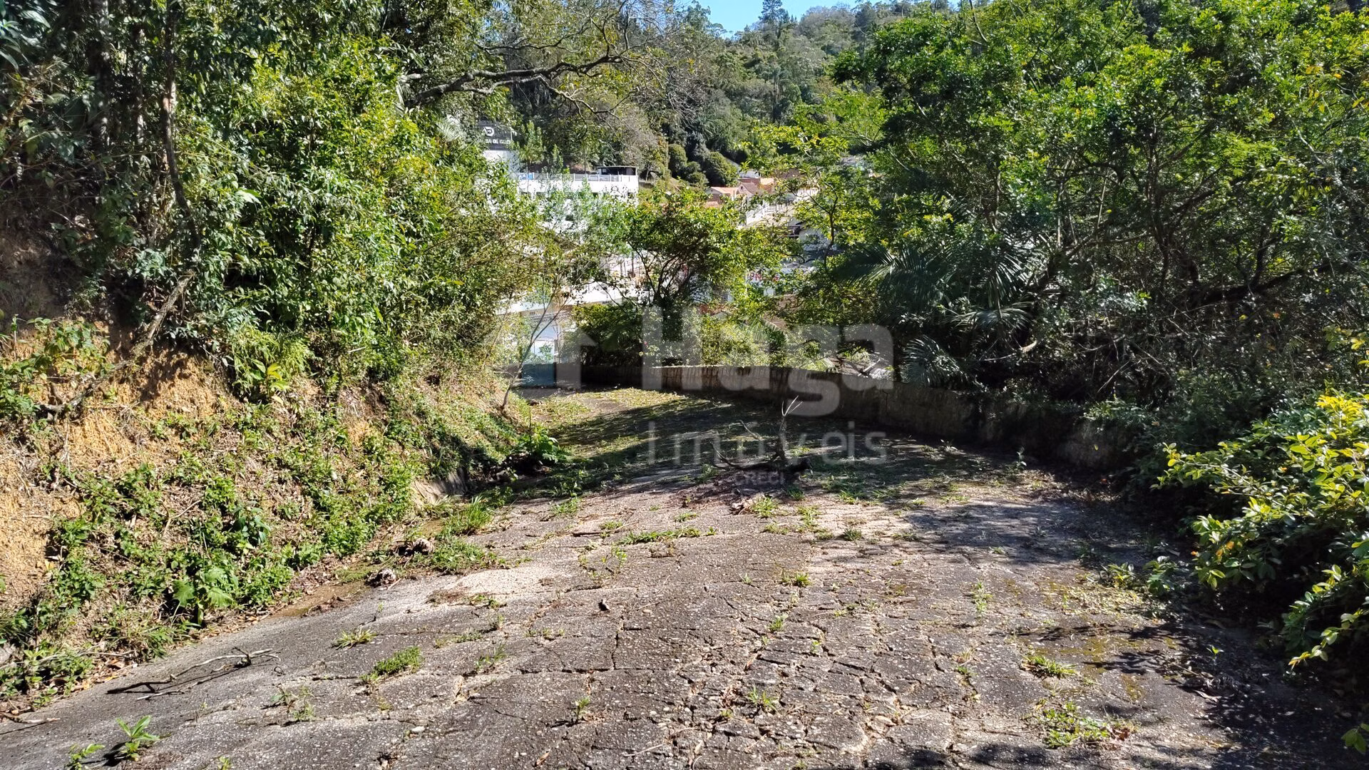 Terreno de 1 ha em Brusque, SC