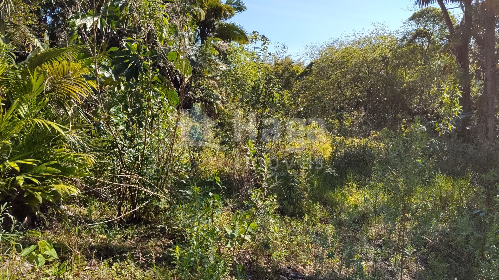 Terreno de 1 ha em Brusque, SC